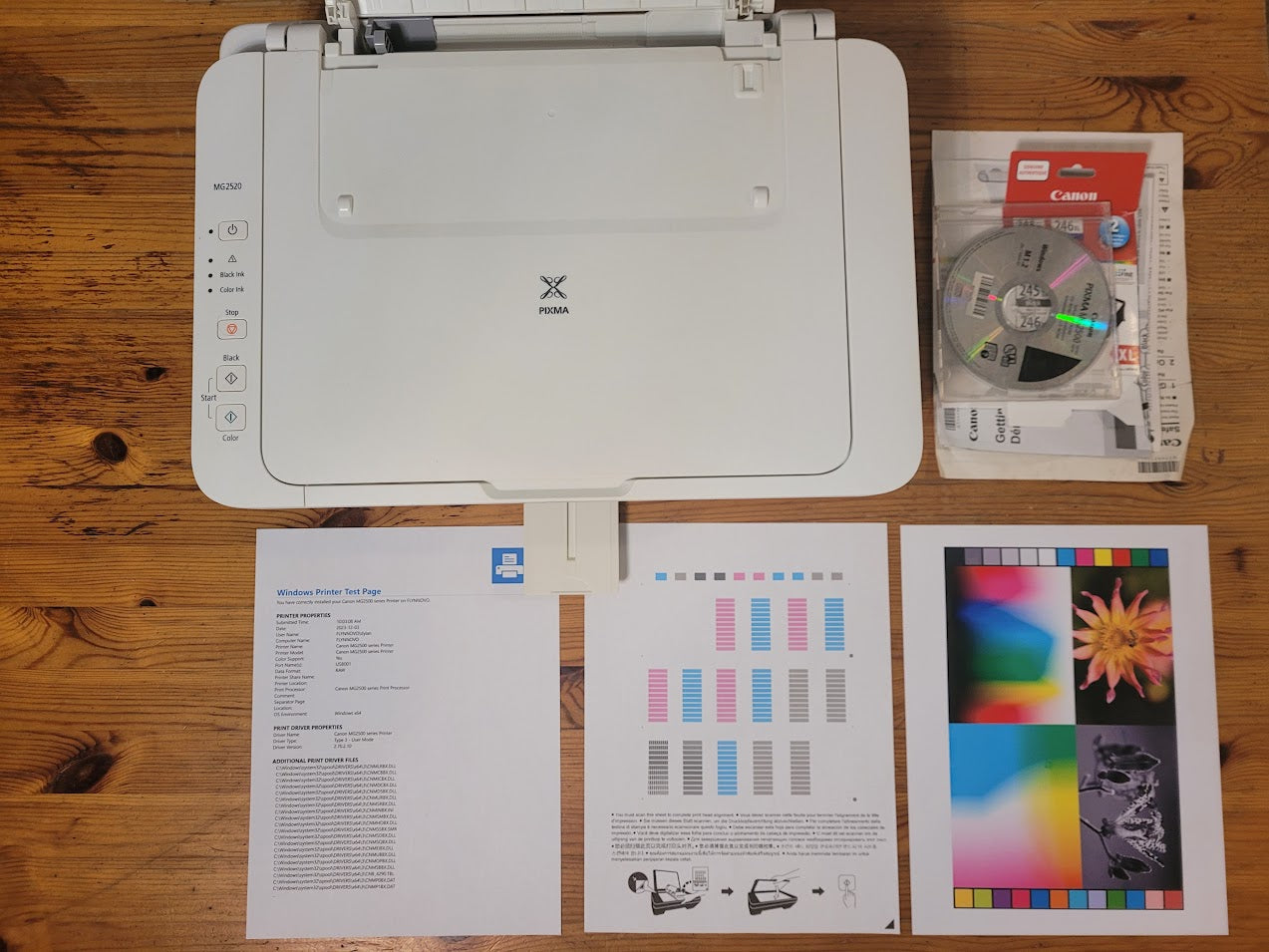 Canon PIXMA MG2520 (Used) w/HP Authentic 245XL+246XL Ink (New)