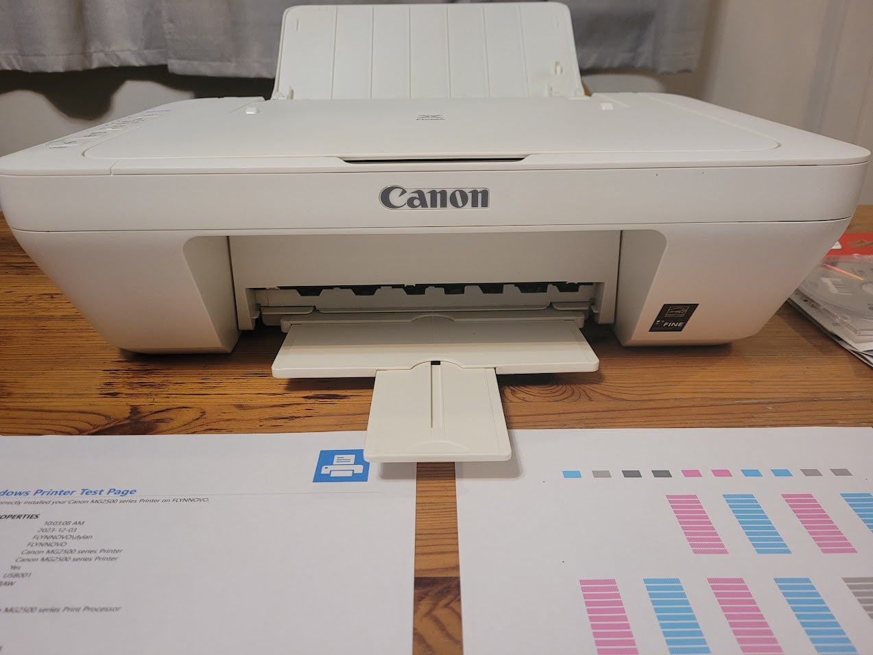 Canon PIXMA MG2520 (Used) w/HP Authentic 245XL+246XL Ink (New)