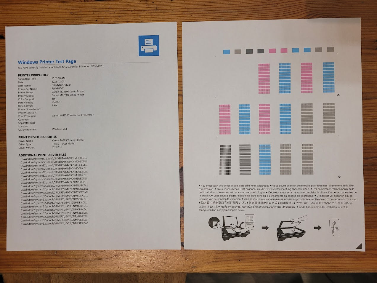 Canon PIXMA MG2520 (Used) w/HP Authentic 245XL+246XL Ink (New)